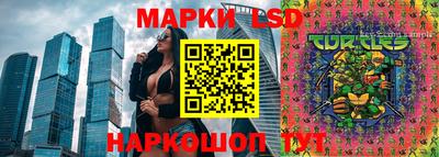 ПСИЛОЦИБИНОВЫЕ ГРИБЫ Можга