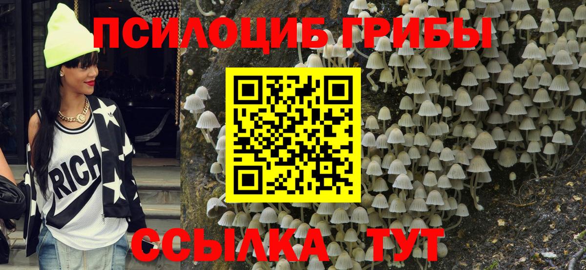 Гусь-Хрустальный  Галлюциногенные грибы Magic Shrooms  как найти   Вход с VPN 